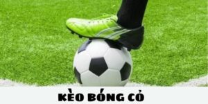 Ảnh đại diện - Kèo bóng cỏ